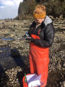 Researcher in orange fishing bibs standing on a rocky shore in the midst of a mussel bed.